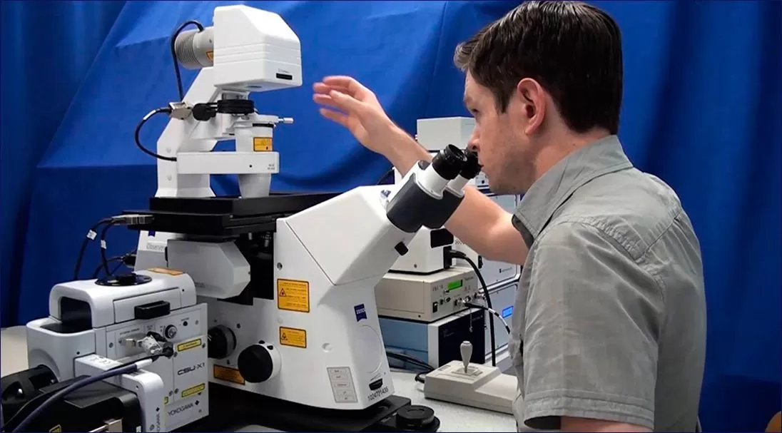 Вебинар "Микроскопия и программное обеспечение ZEISS для работы на производстве"