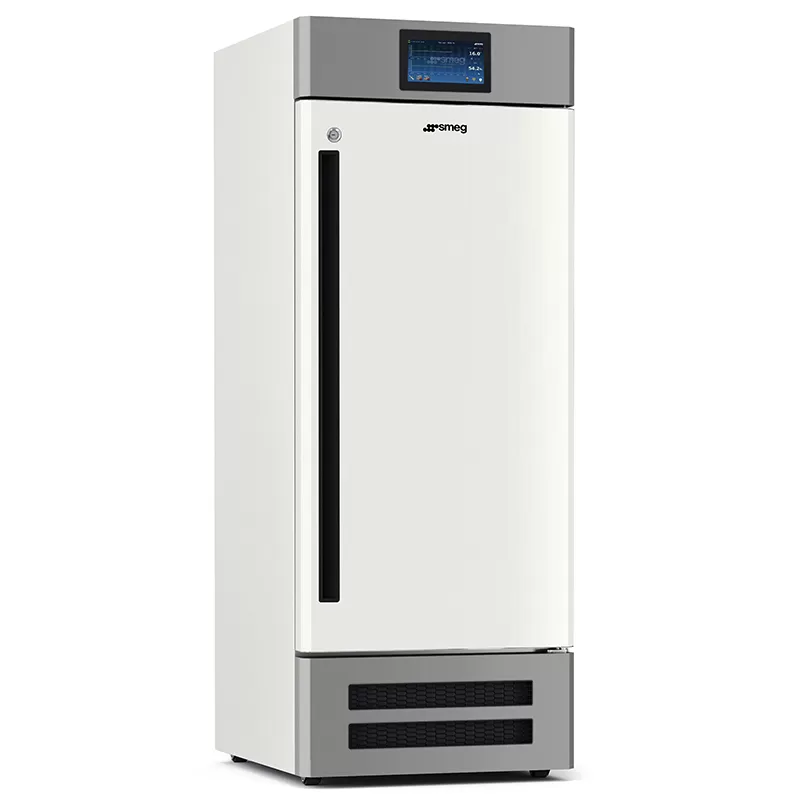 Климатические камеры постоянных условий Smeg