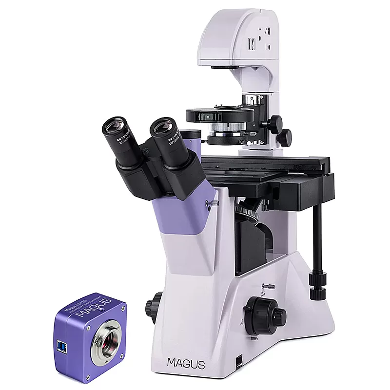 Микроскоп биологический инвертированный цифровой MAGUS Bio VD350