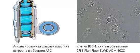 Аподизированный-фазовый-контраст