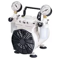 Поршневой насос Welch WOB-L® 2534