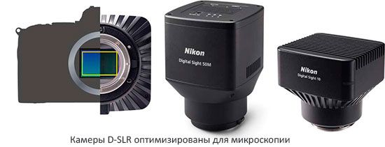 Камеры Nikon формата FX с байонетом F Digital Sight 50M и Digital Sight 10